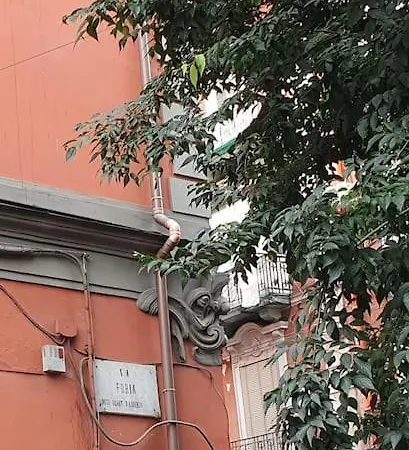 Apartment Confort In The Historic Spanish Center Naples